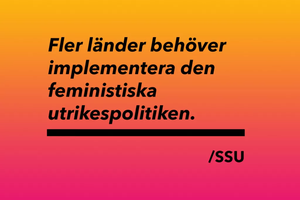 Färgplatta med texten: Fler länder behöver implementera den feministiska utrikespolitiken.
