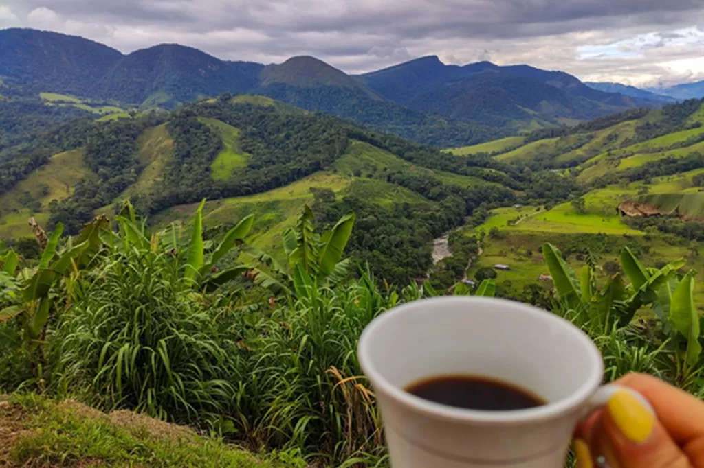 landscape and coffee