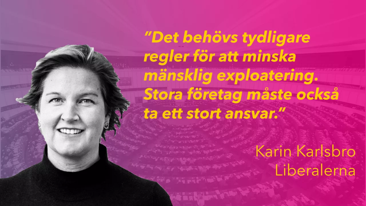 Porträtt av liberalernas Karin Karlsbro med citatet "Det behövs tydligare regler för att minska den mänskliga exploateringen. Stora företag måste också ta ett stort ansvar."