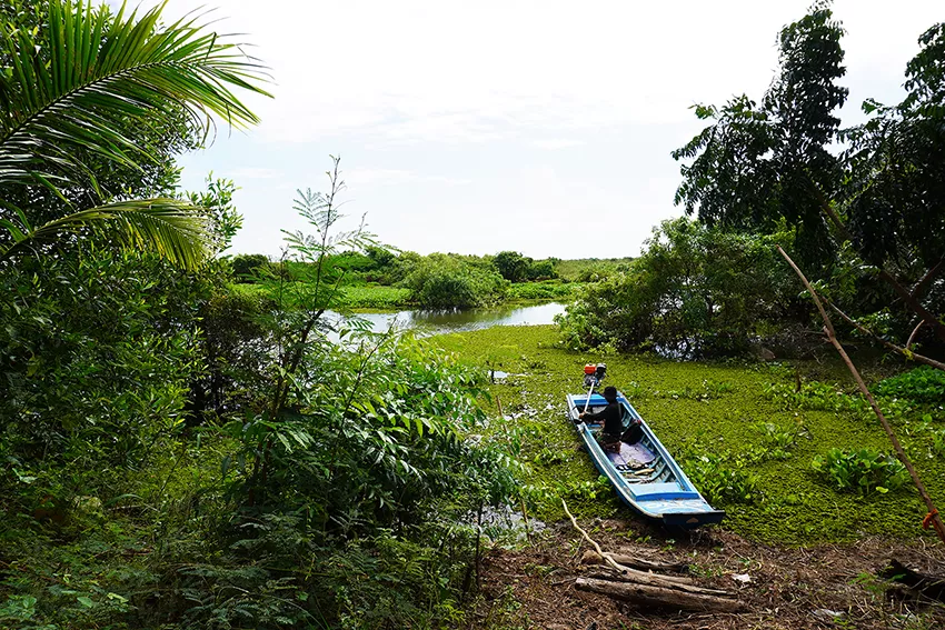 Overview of the fish conservation area.