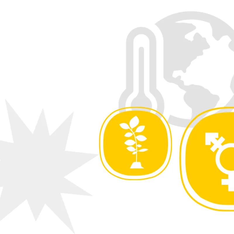 Icons showing a globe with a thermometer, a plant and the sign for male, female and non-binary.